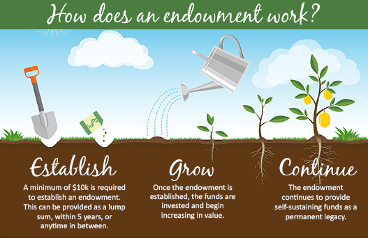 what is the endowment thesis